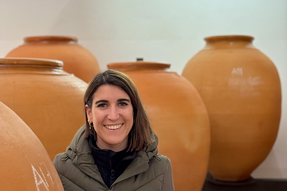 Vinyes d'Olivardots