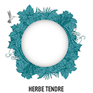 vidu-herb.jpg